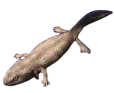 Triassurus sixtelae