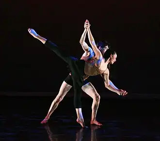 舞伴舞（英语：Dance partnering），男舞者協助女舞者獨腳站立（英语：arabesque (ballet position)）