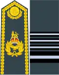 英國皇家空軍空軍上將(Air chief marshal（英语：Air chief marshal）)肩章及袖章
